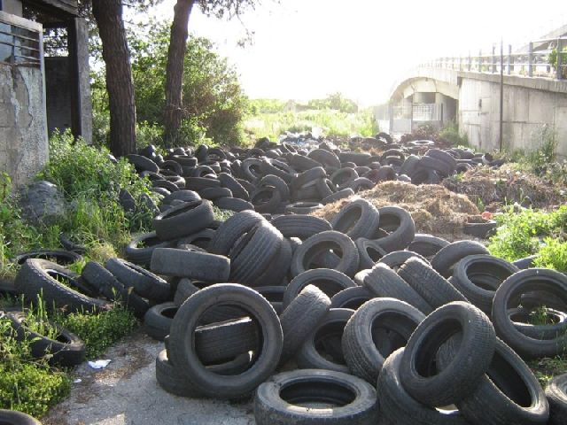 biutiful-cauntri.jpg