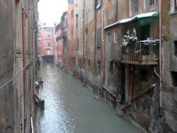 pioggiabologna.jpg